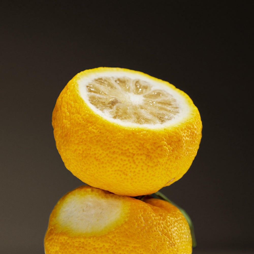 OSULLOC Signature Earl Grey — Cítrico amarillo cortado reflejado en una superficie oscura.