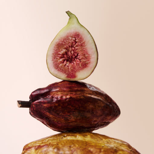 OSULLOC Fig Chocolat Black Tea — Cut fig balanced on stacked cocoa pods against pale peach.