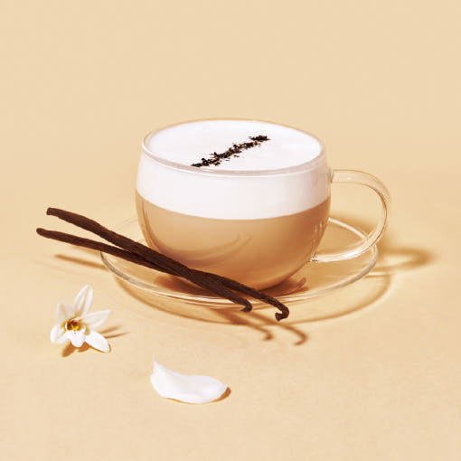 OSULLOC Vanilla Honey Black Tea — Bebida beige espumosa en una taza de cristal junto a vainas de vainilla, una flor blanca y un pétalo.